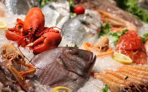 俄羅斯冷凍水產(chǎn)品進口清關報關代理公司,海鮮進口報關資料流程