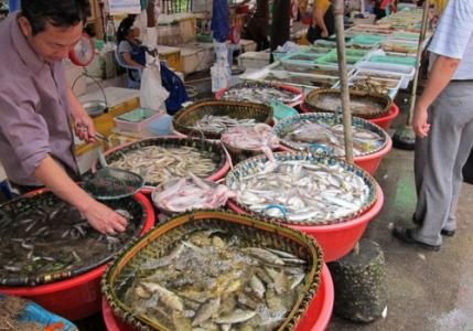 水產品放心吃！多地市場核酸檢測陰性，安全有保障