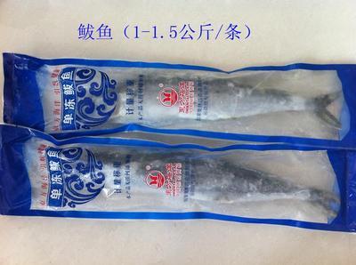 青島海鮮盛宴，禮遇四方 城陽海產品禮盒批發采購全指南